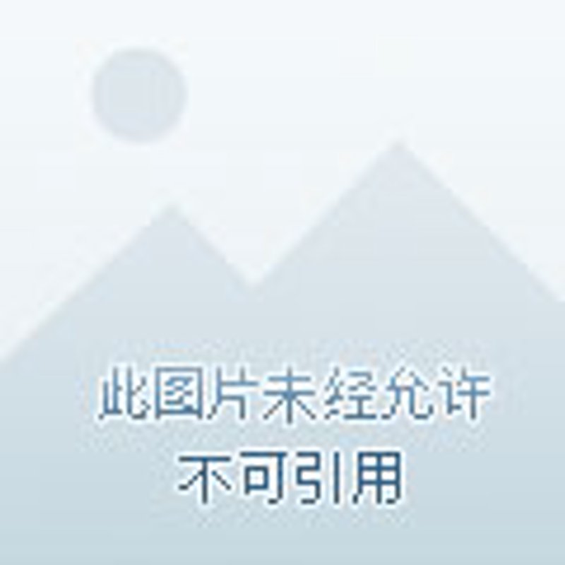停车App：城市的“呼吸”与便利的融合